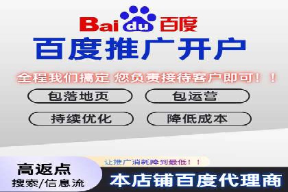 百度推广广告案例：快速抢占市场份额